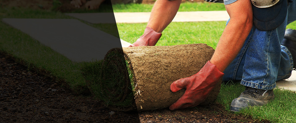 Rosendale Landscapers